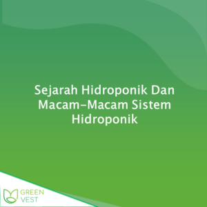 Sejarah Hidroponik Dan Macam-Macam Sistem Hidroponik