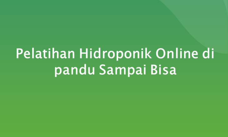 Pelatihan Hidroponik Online di pandu Sampai Bisa