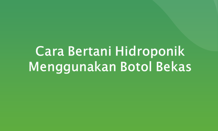 Cara Bertani Hidroponik Menggunakan Botol Bekas