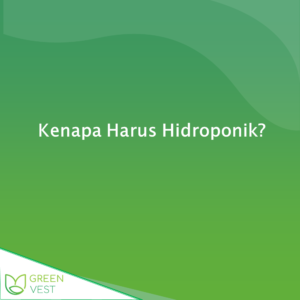 kenapa harus hidroponik