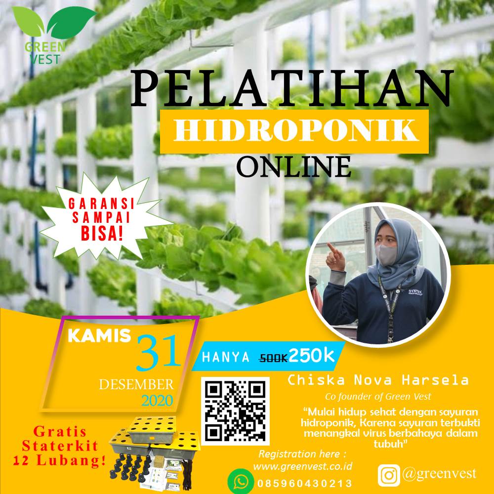 Pelatihan Hidroponik Gratis Staterkit Pelatihan Gratis Sampai Bisa