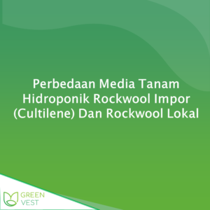 Perbedaan Media Tanam Hidroponik Rockwool Impor (Cultilene) Dan Rockwool Lokal